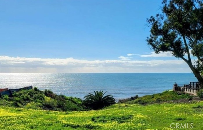 35295 Camino Capistrano