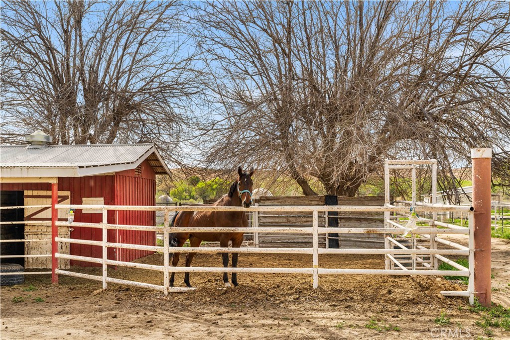 14433 Roy Rogers Ranch
