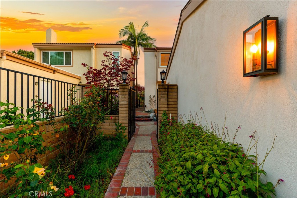 54 Willow Tree