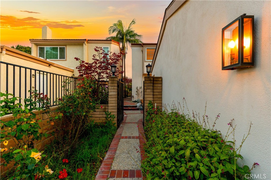 54 Willow Tree