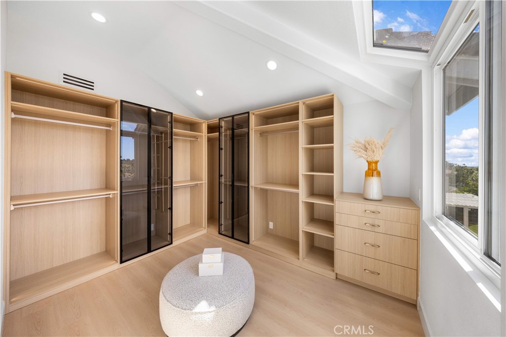 22241 Birchleaf