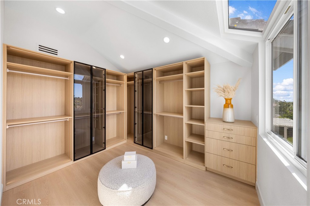 22241 Birchleaf
