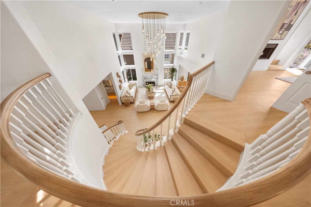 22241 Birchleaf