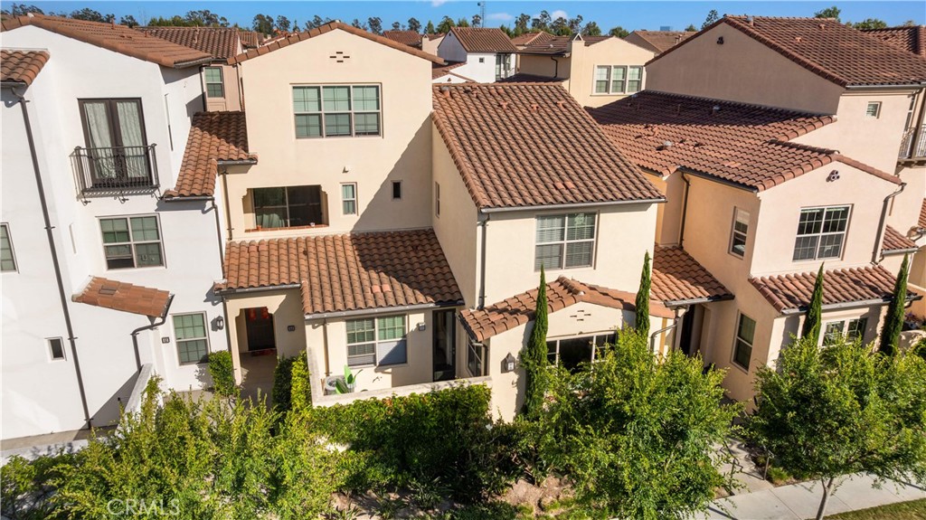 56 Bay Layrel
