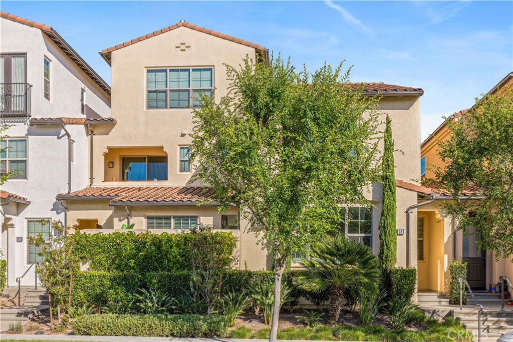 56 Bay Layrel