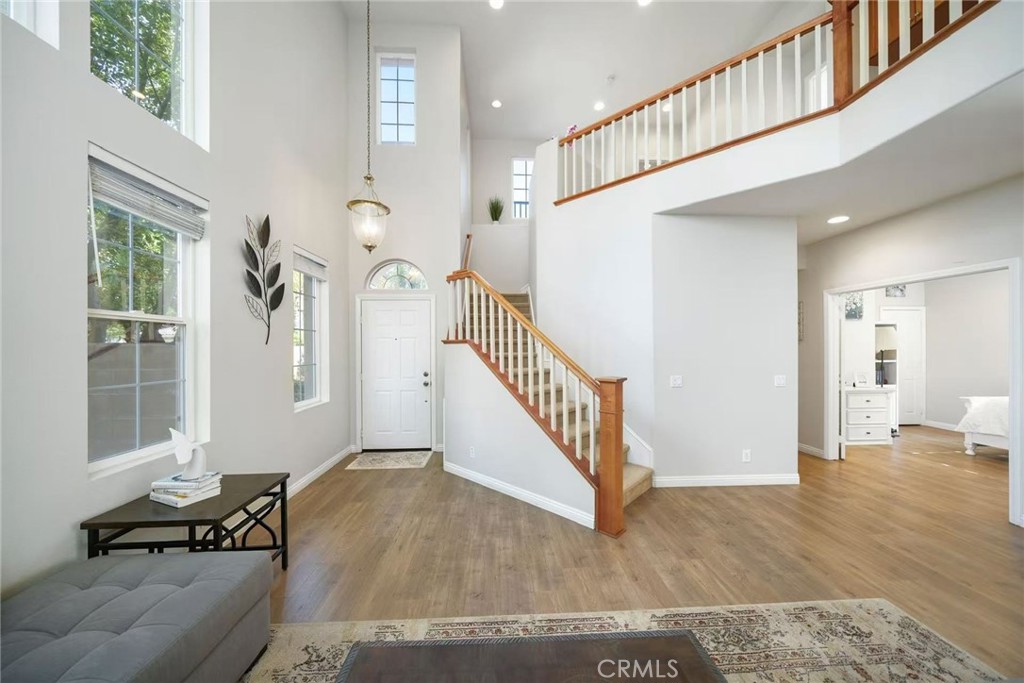 7 Blue Spruce