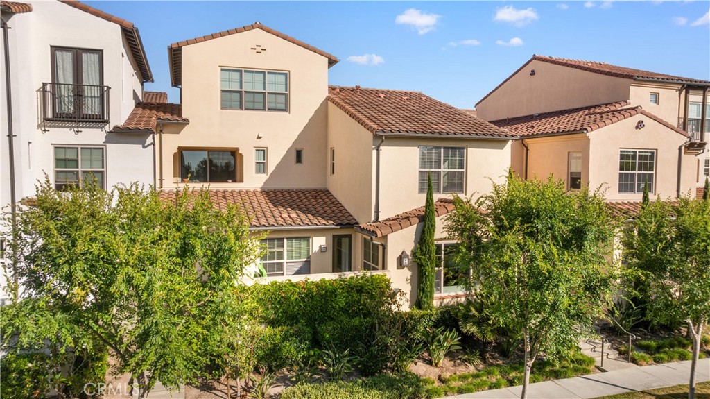 56 Bay Layrel