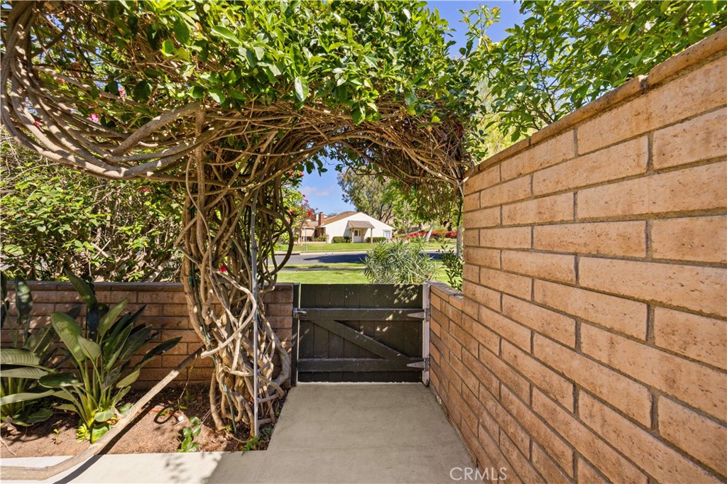 15 Eucalyptus