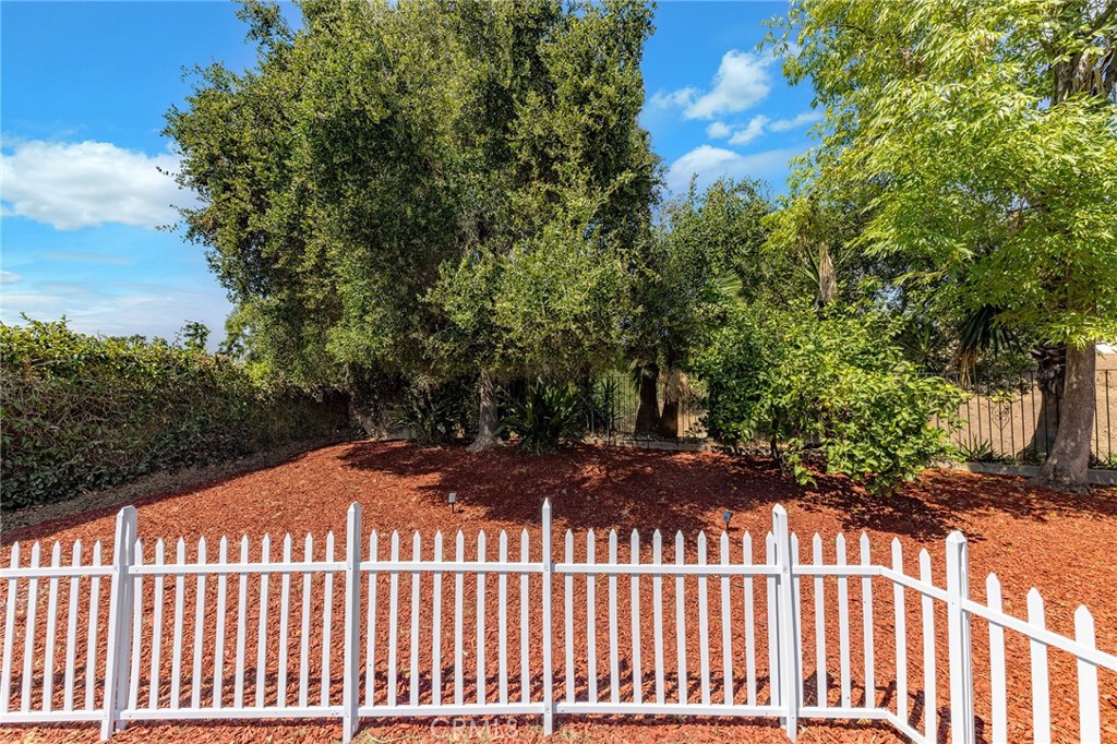3300 E Whitebirch