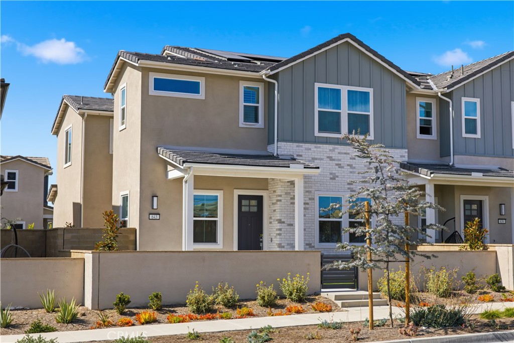 643 Gadwall