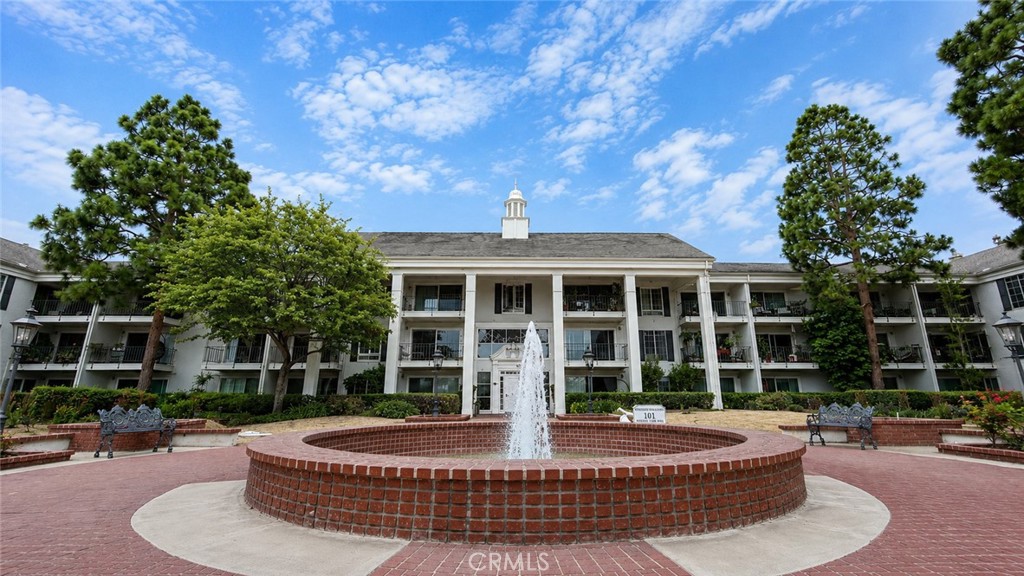 102 Scholz 243