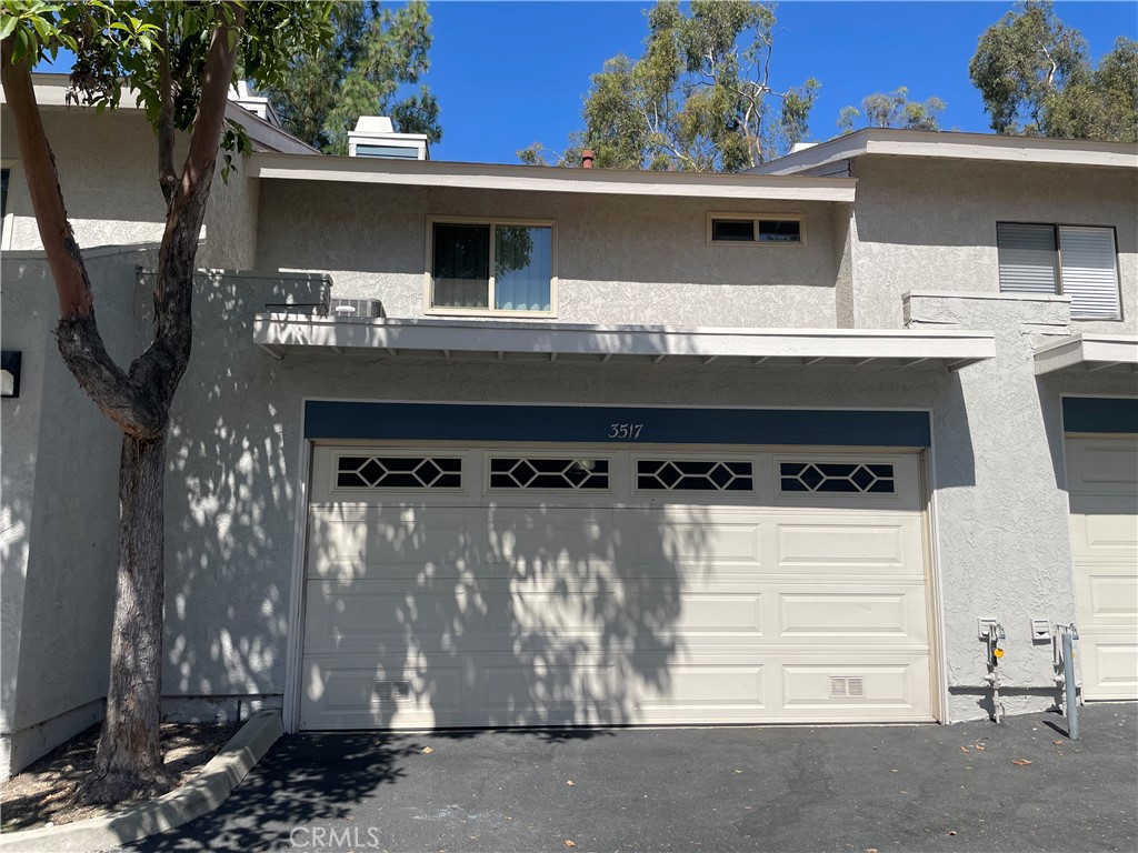 3517 Eucalyptus St