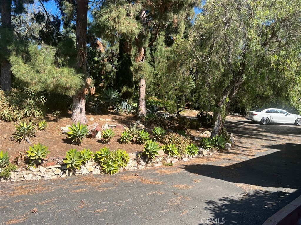 80 Narcissa Drive