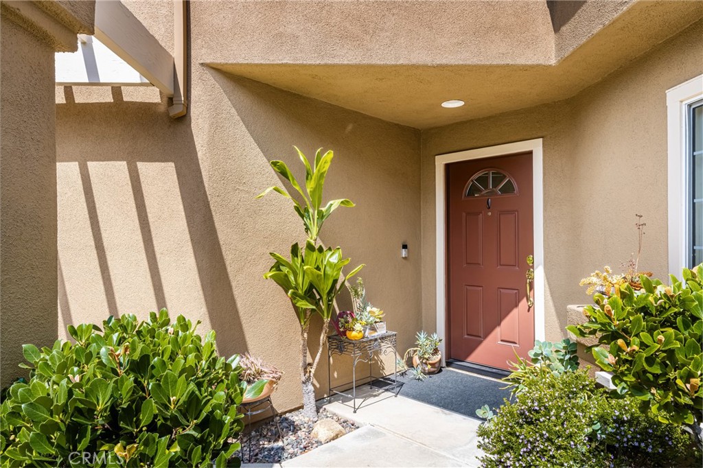 856 S Wildflower Lane