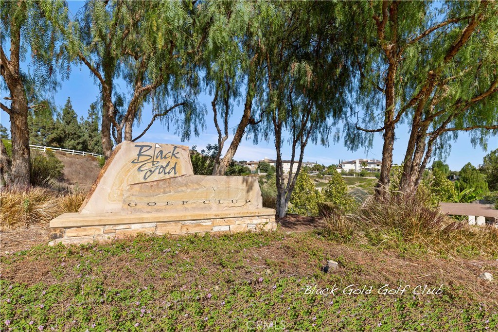19737 Cleveland Bay Lane
