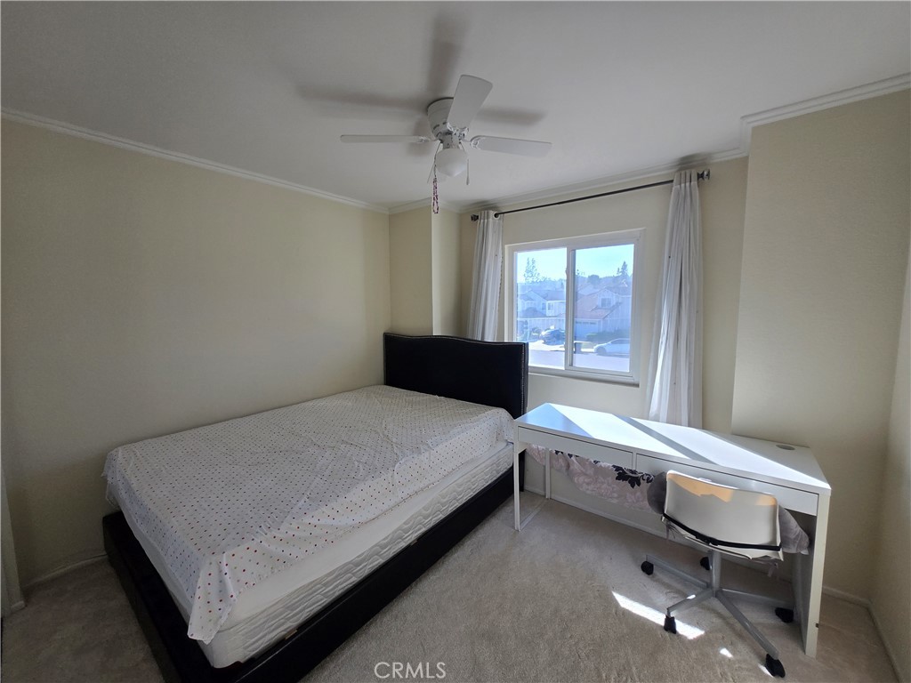 3115 Cove Landing