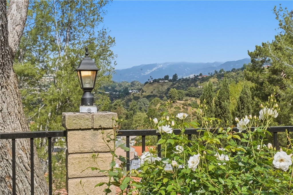 3537 Foxglove Road