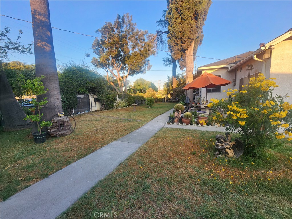 12138 Magnolia Street