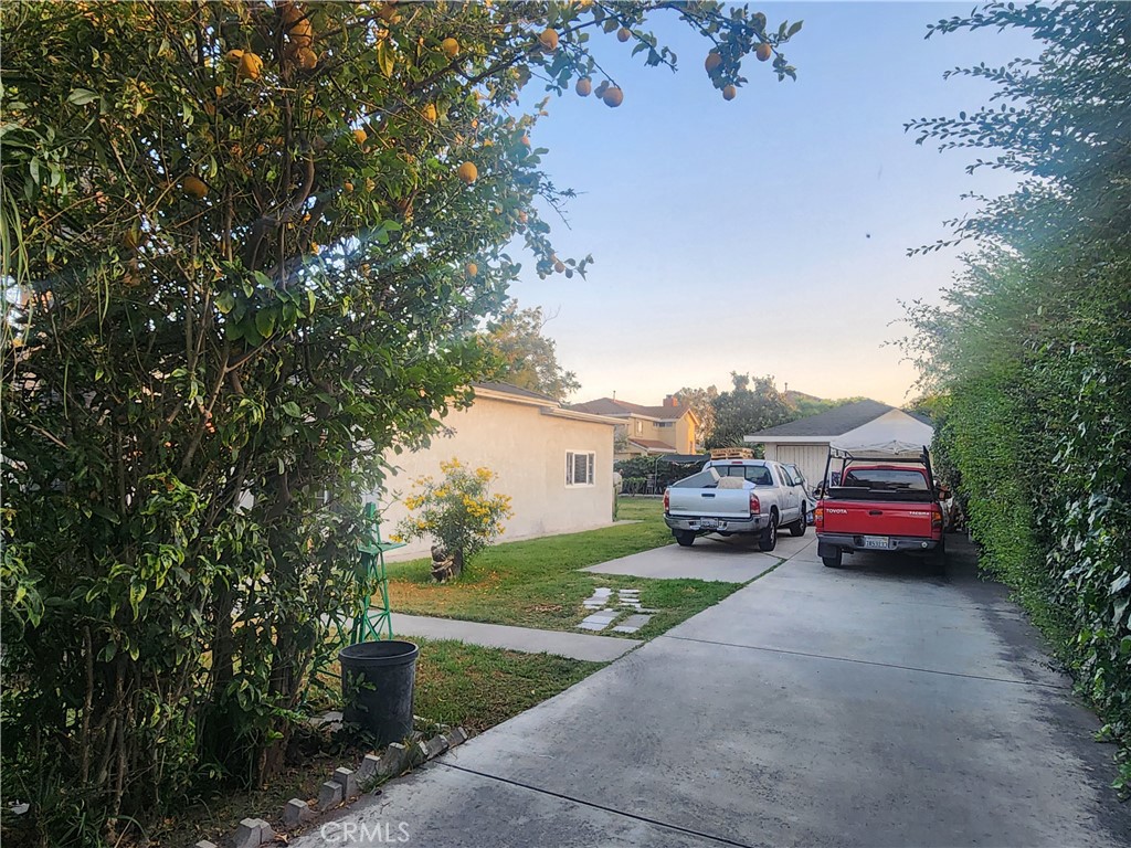 12138 Magnolia Street