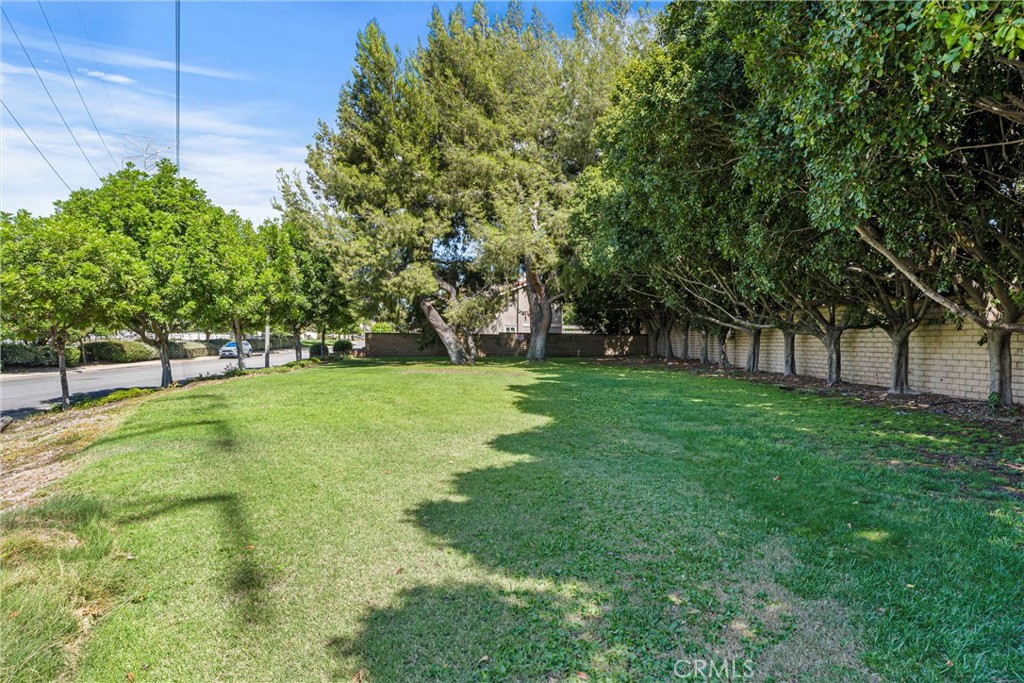 554 Conestoga Road