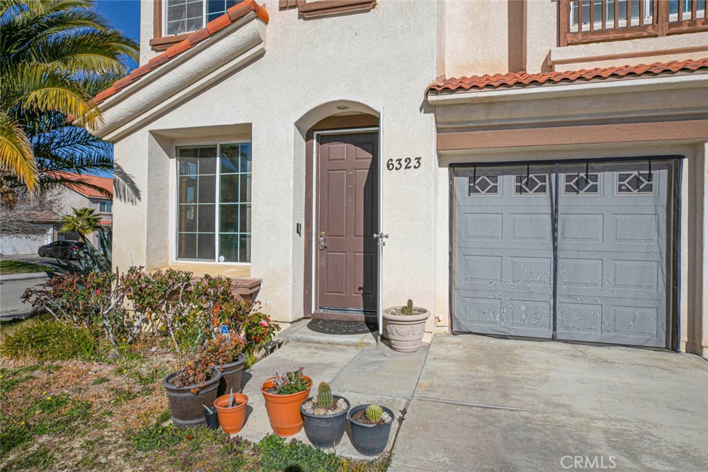6323 Scalea Court
