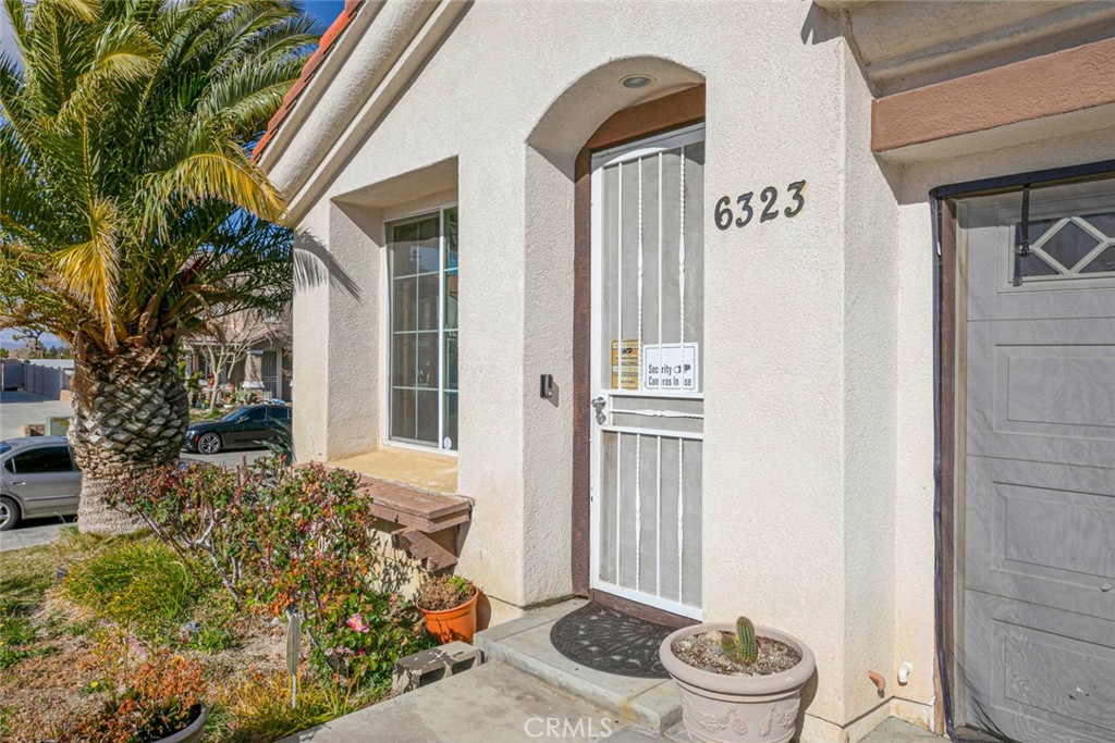 6323 Scalea Court
