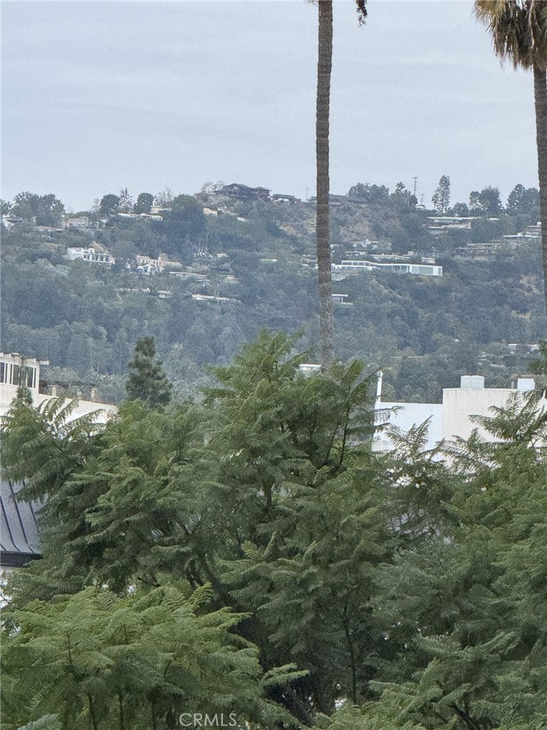 100 S Doheny Drive 402