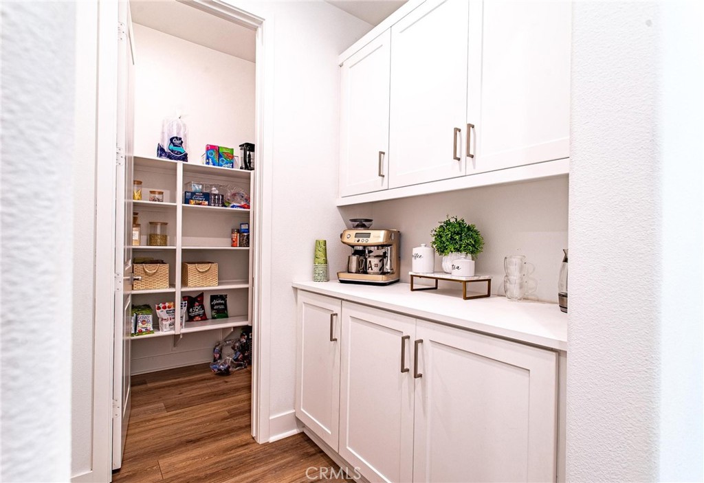 27225 Bush Mallow Court