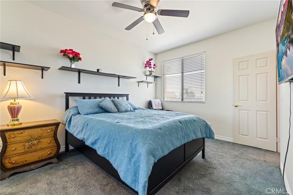 6411 Puma Place