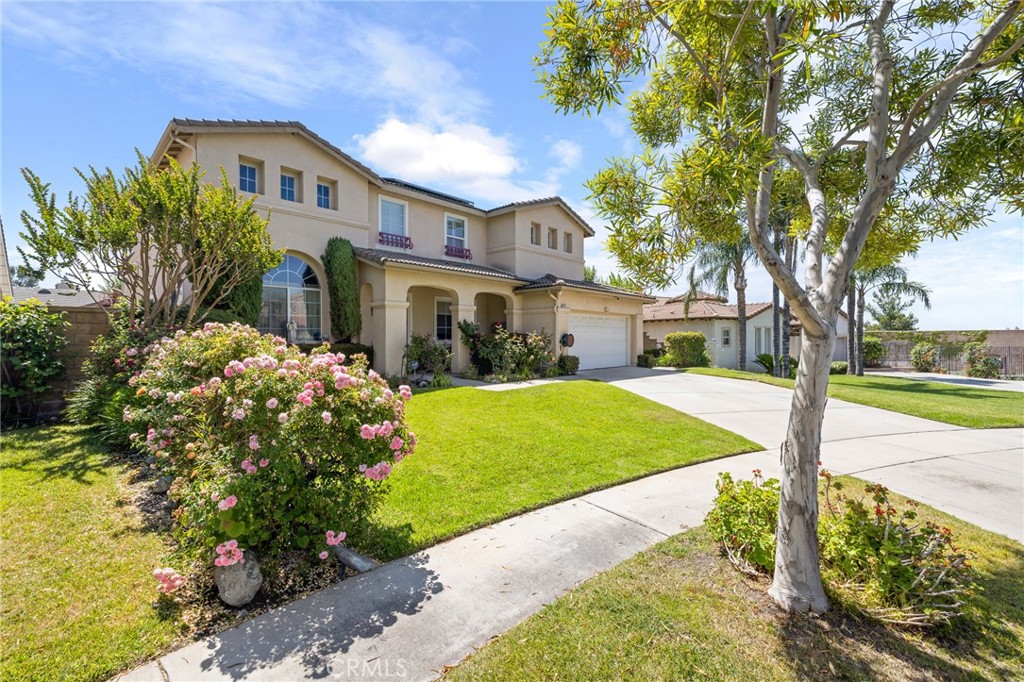 6411 Puma Place