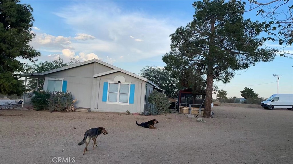 55623 Jesse Road