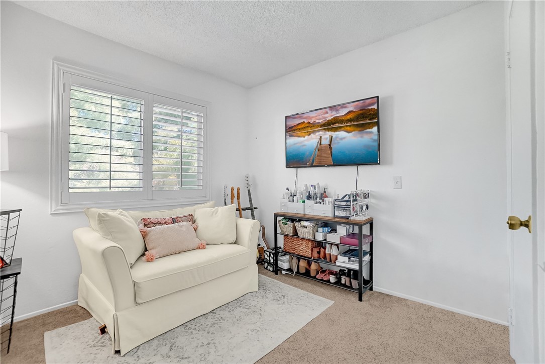 24584 Candlebush Court