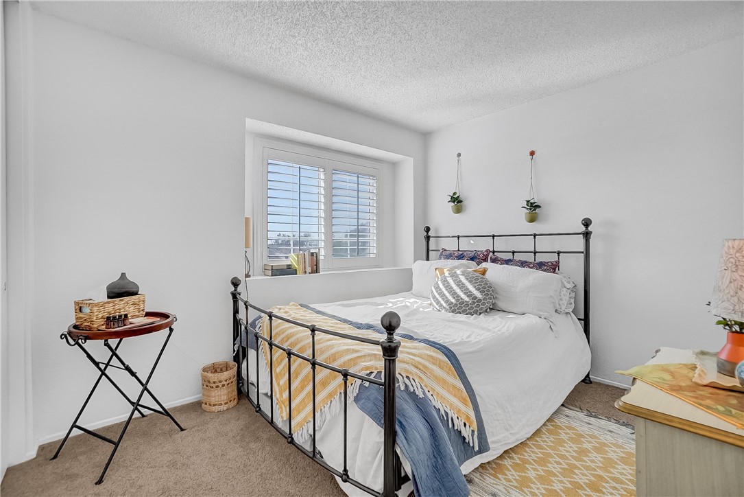 24584 Candlebush Court