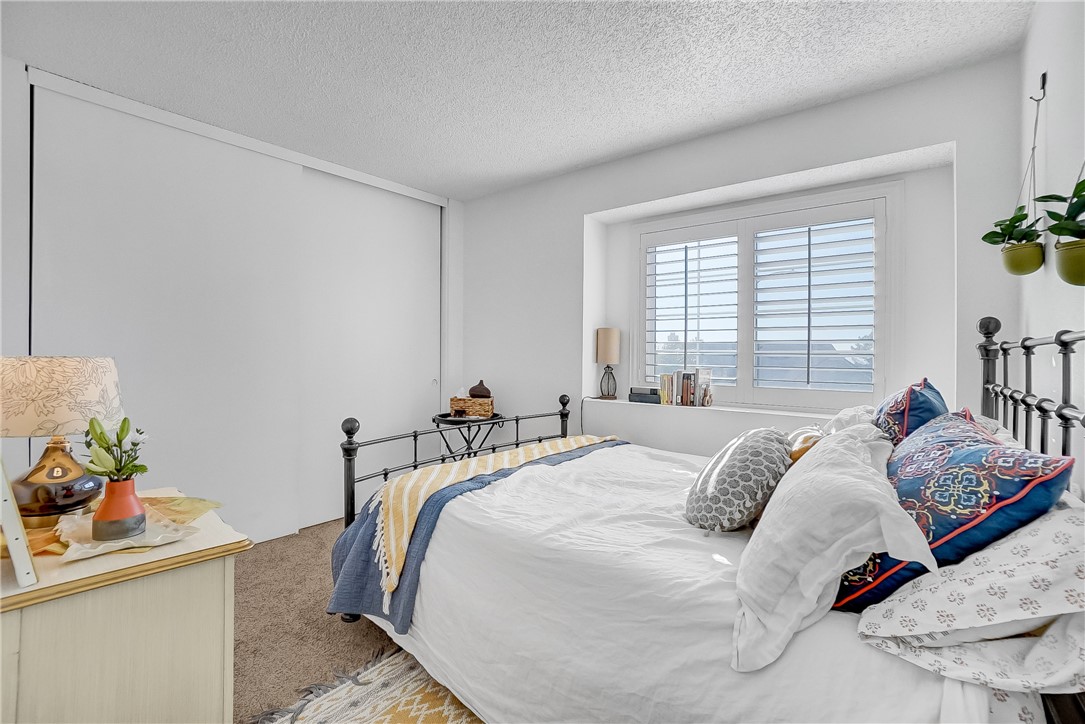24584 Candlebush Court