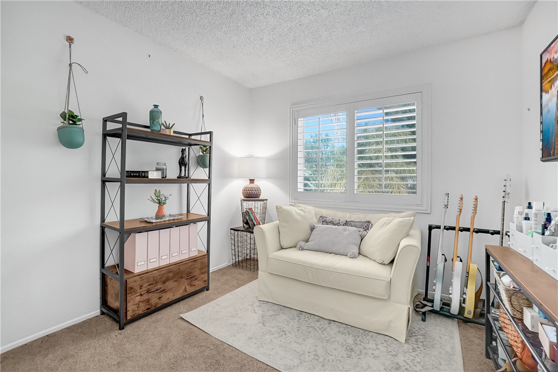 24584 Candlebush Court
