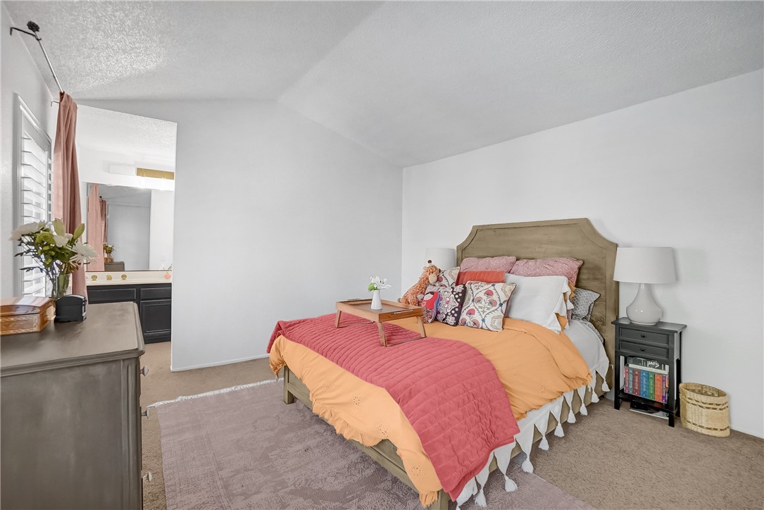 24584 Candlebush Court