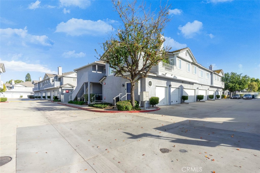 17865 Youngdale Circle 203