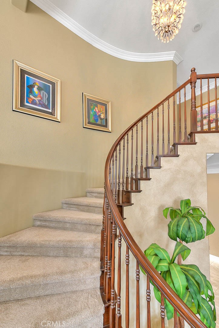 4592 Torrey Pines Drive