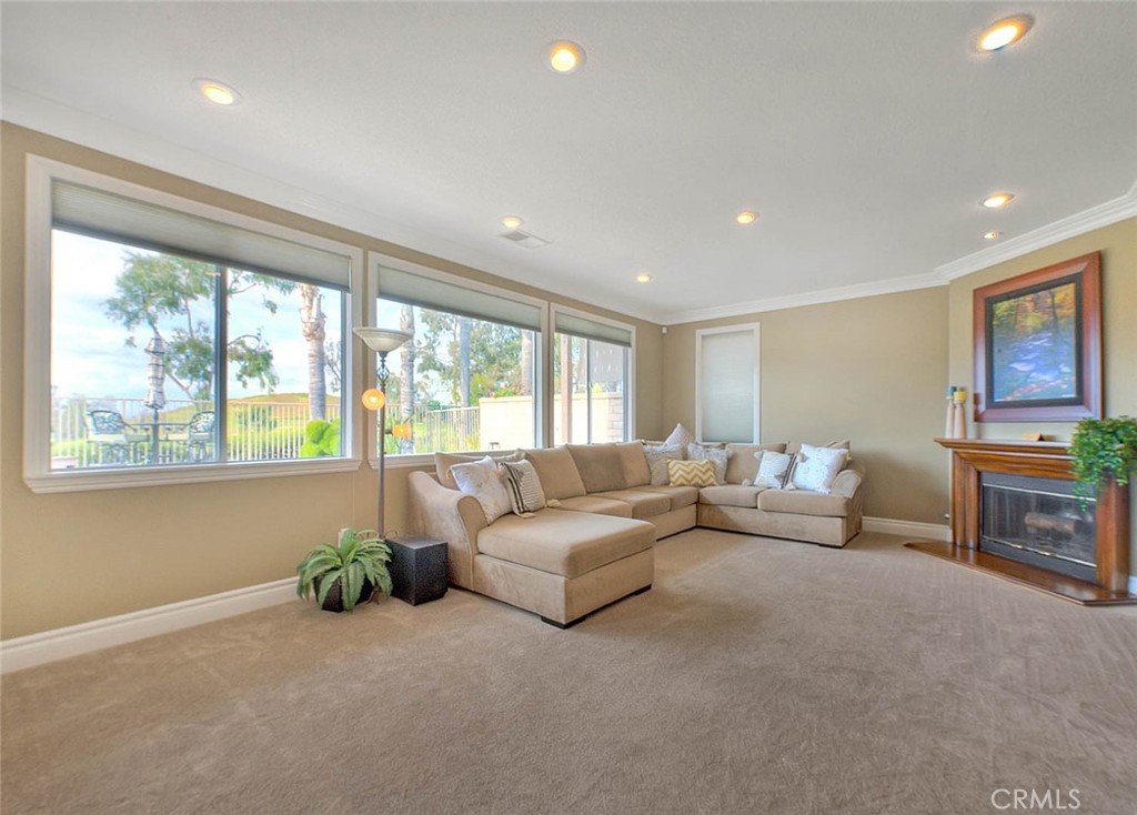 4592 Torrey Pines Drive