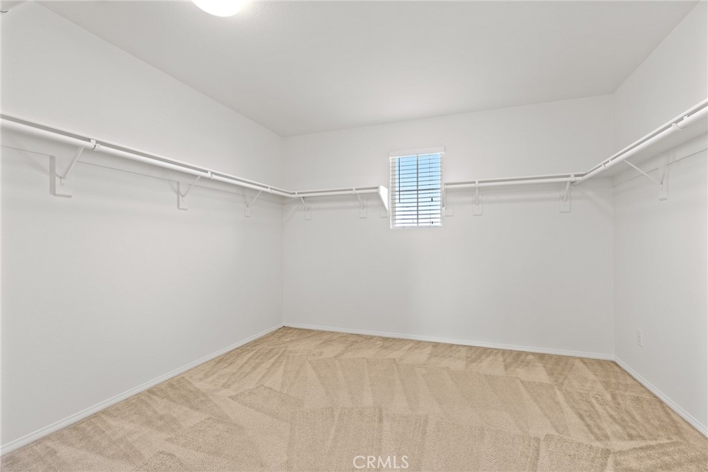 8754 Armadillo Drive