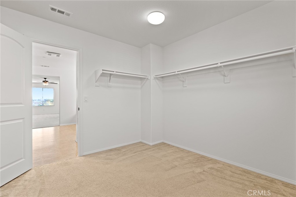 8754 Armadillo Drive