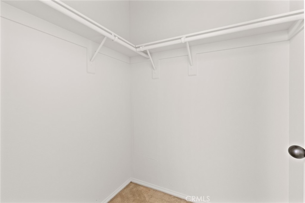 8754 Armadillo Drive