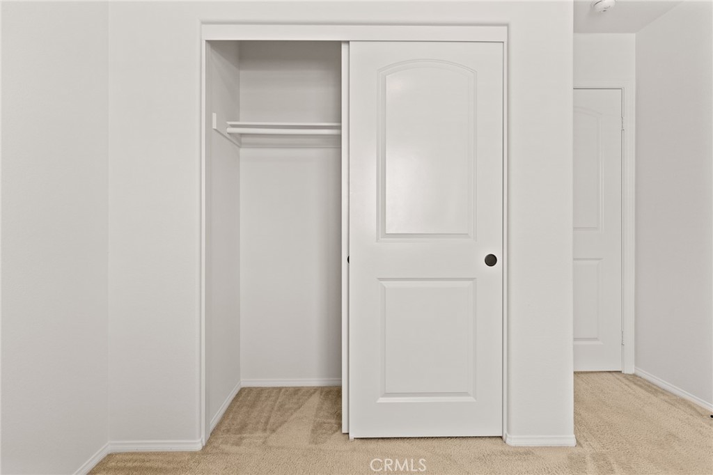 8754 Armadillo Drive