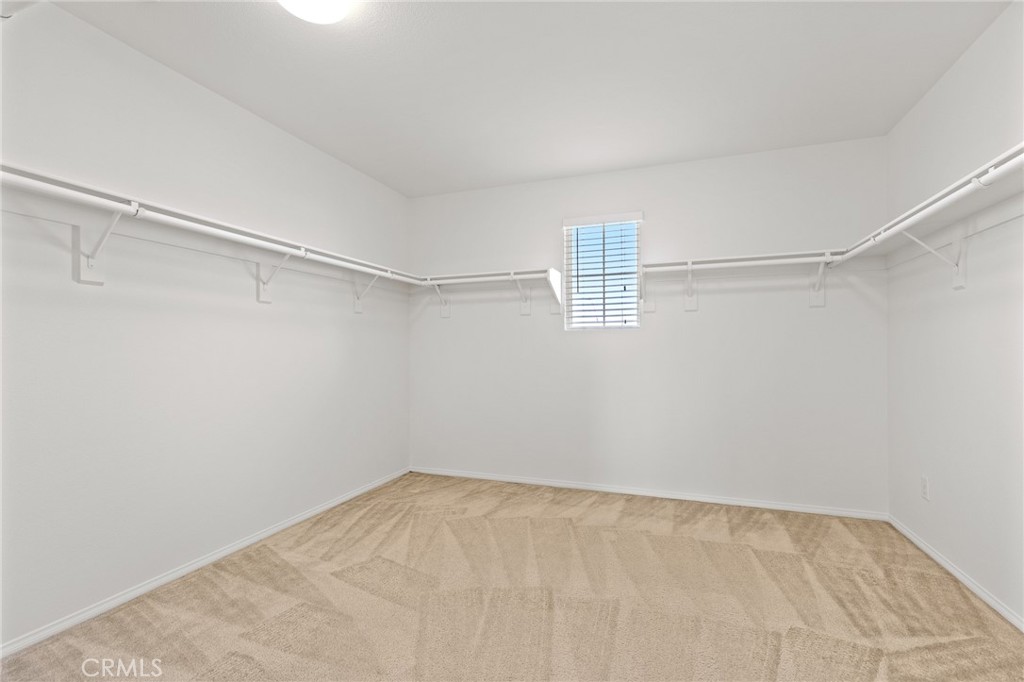 8754 Armadillo Drive