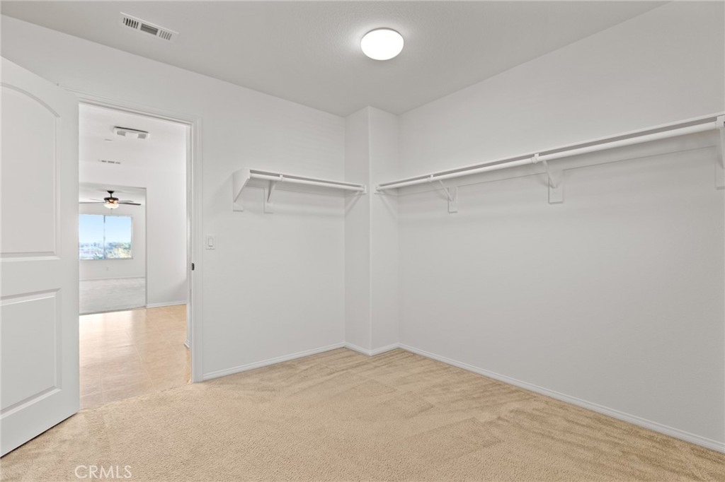 8754 Armadillo Drive