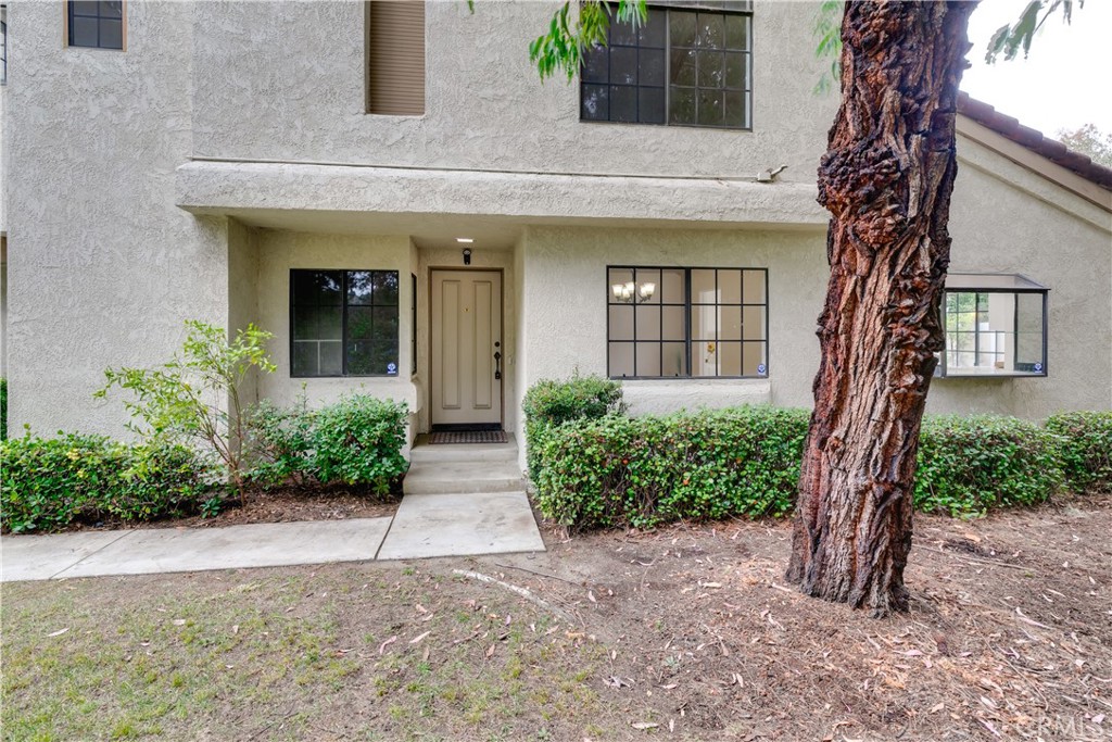 22915 Colombard Lane 4