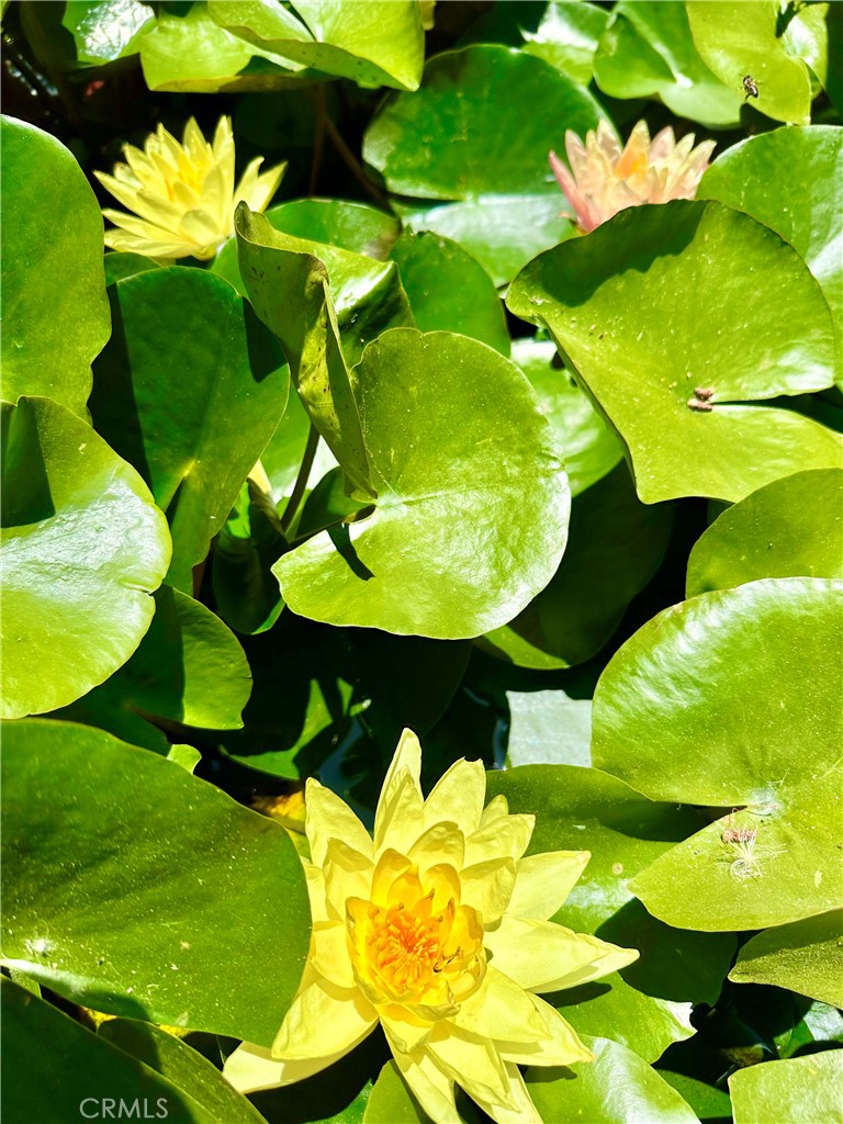 16405 Blue Grass Lane