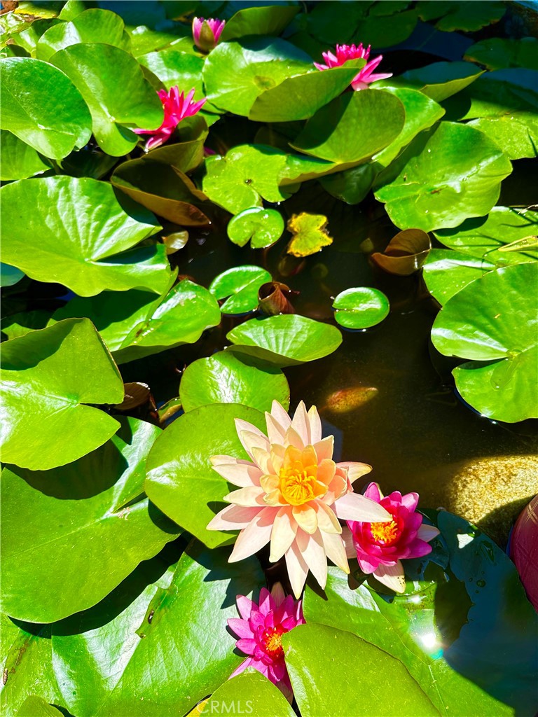 16405 Blue Grass Lane