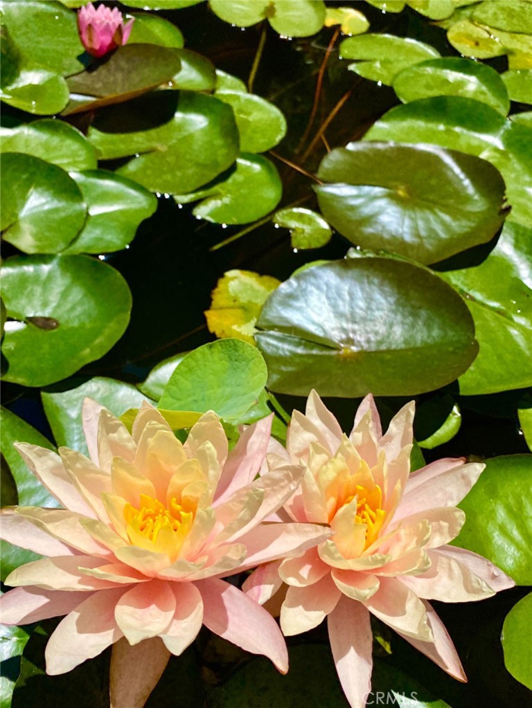 16405 Blue Grass Lane