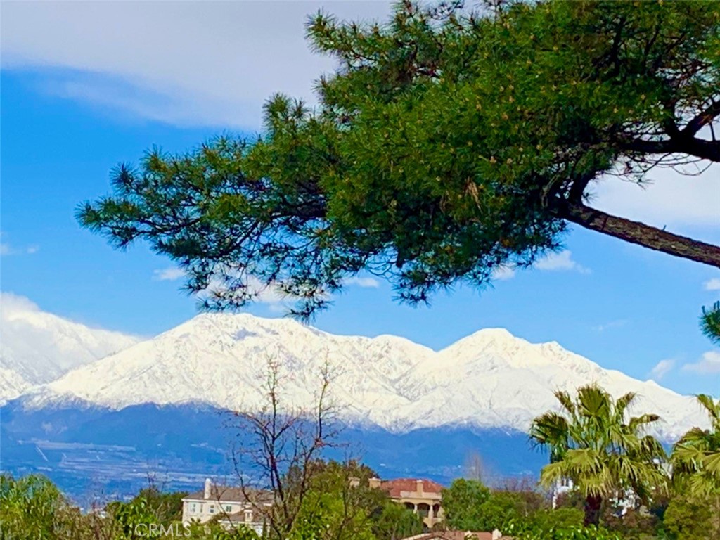 16405 Blue Grass Lane